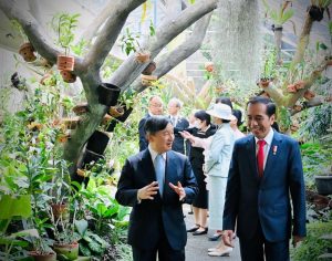 Presiden Jokowi Sambut Kunjungan Kenegaraan Kaisar Jepang Naruhito di Istana Bogor