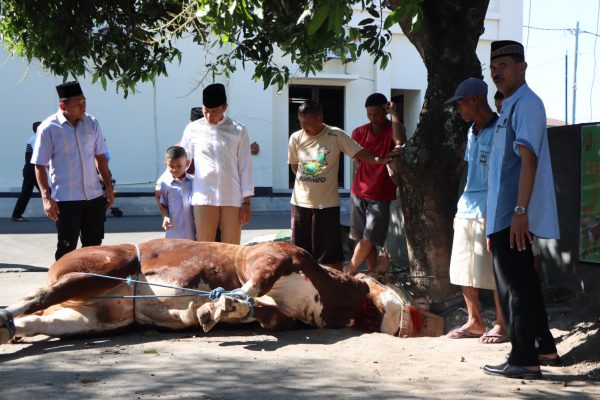 Peringati Idul Adha 1444 H, Polres Karanganyar Sembelih 7 Ekor Sapi dan 12 Ekor Kambing